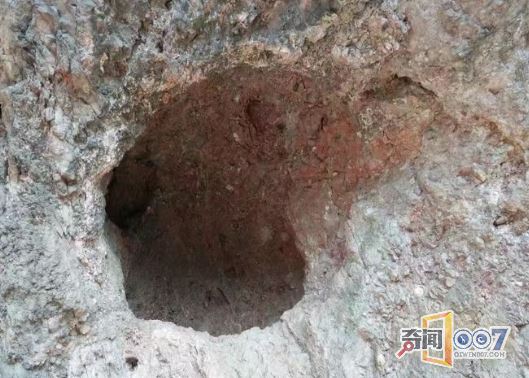 女孩被囚禁山洞两年,后来带小男孩回家