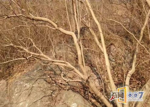 女孩被囚禁山洞两年,后来带小男孩回家