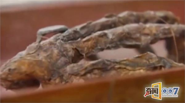 男子在祖父家发现神秘盒子,打开后被里面的东西吓坏了!_图2 男子发现神秘盒子,打开被里面东西吓坏