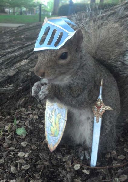 萌萌的圆桌骑士。(网页截图) 萌萌的圆桌骑士。(网页截图)