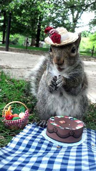 去野餐的“小妇人”。(网页截图) 去野餐的“小妇人”。(网页截图)